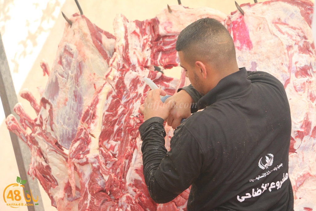 ada7y forthei (99).JPG